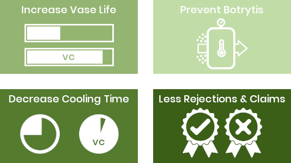 Vacuum Cooling for Vegetables & Herbs - MSL Teknoloji